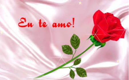 tu te amo