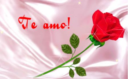 te amo